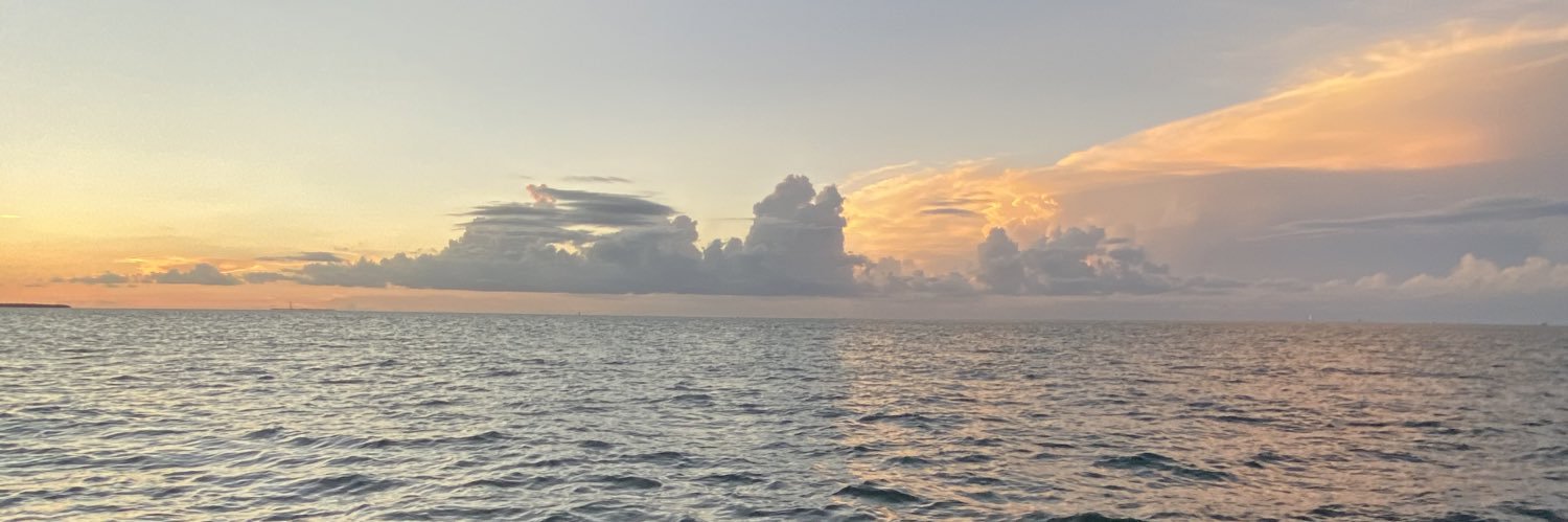 Suraxx's profile banner image