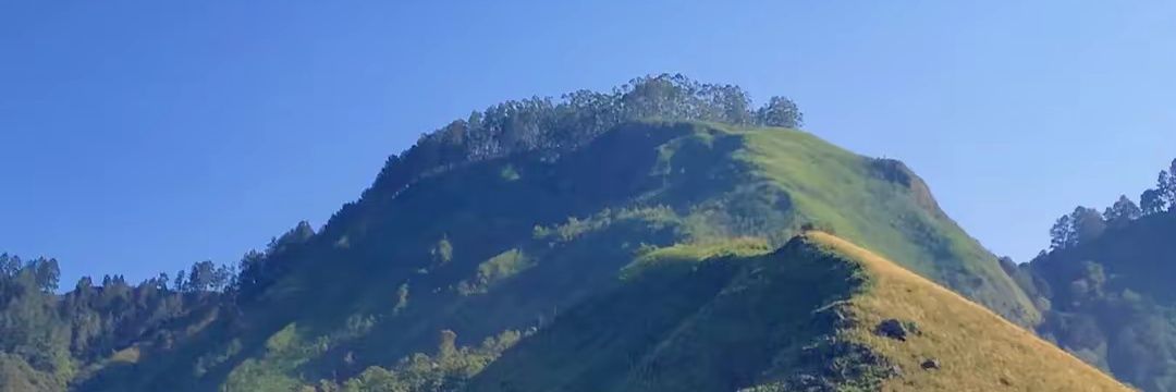 kamaumine's profile banner image