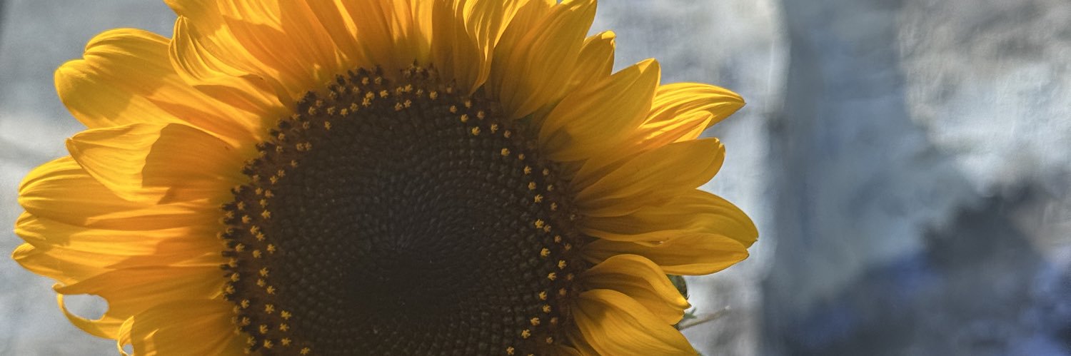 Kahlimaaa__'s profile banner image