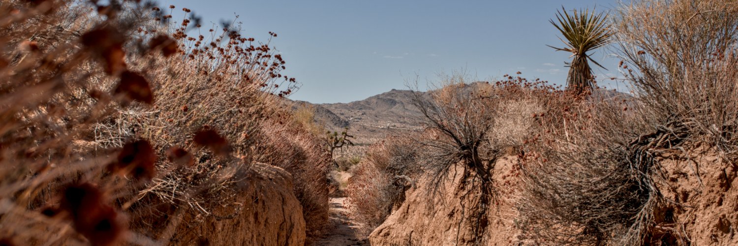 InhaleTime's profile banner image