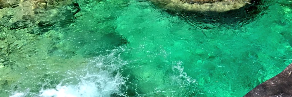 tazone28's profile banner image