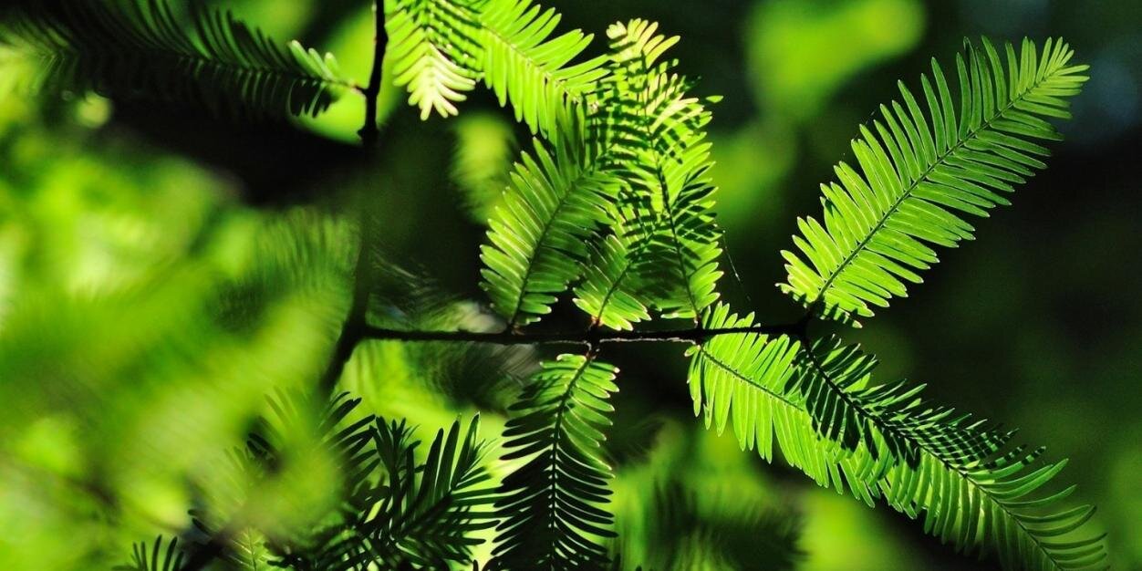 Bogdan_Borman's profile banner image