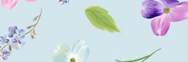 dani smith banner