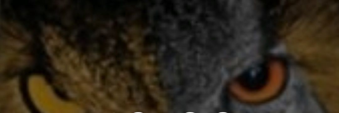 UCallMeJoe's profile banner image