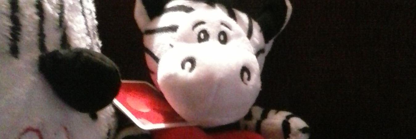 BrandyBrack's profile banner image