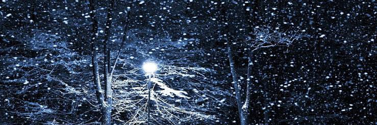 Jonel Binamira banner