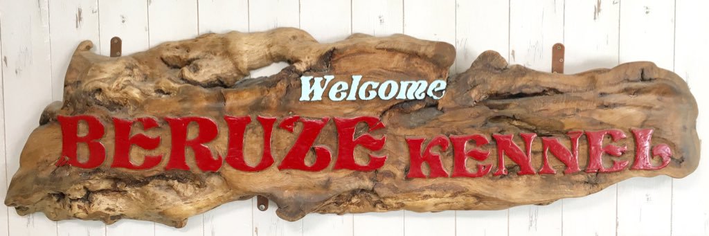 BERUZEDACHS's profile banner image