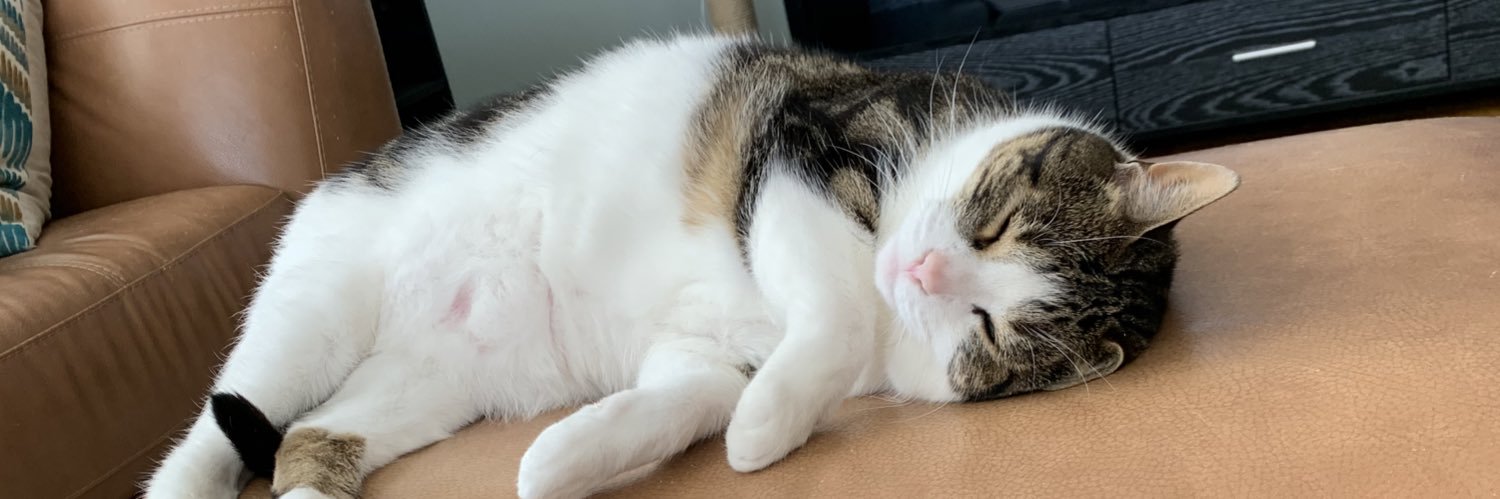 David Kromelow banner