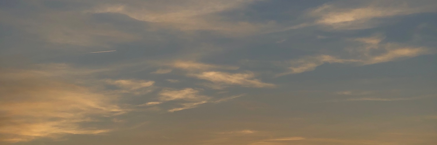 paulaandr__'s profile banner image