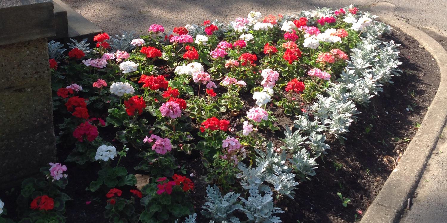 CalverleyBloom's profile banner image