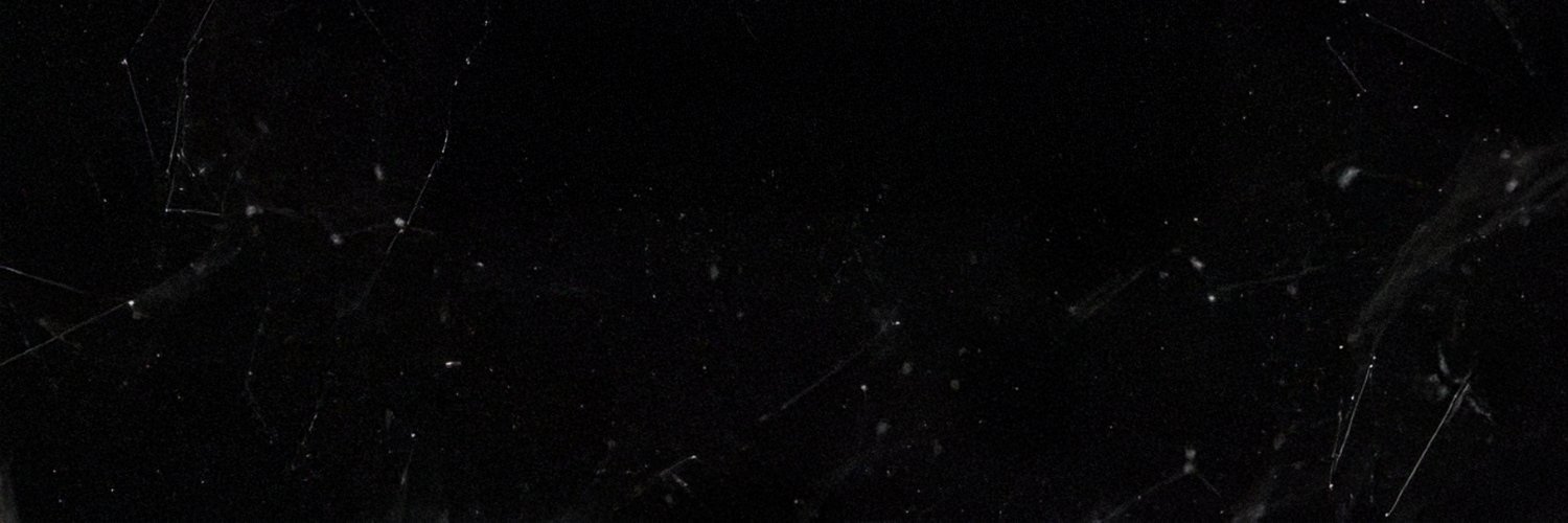 𝗦𝗵𝗮𝗿𝗹 banner