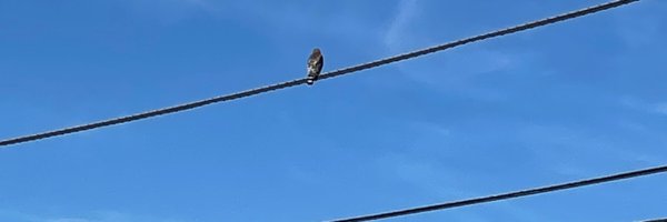 biocuriosity Profile Banner