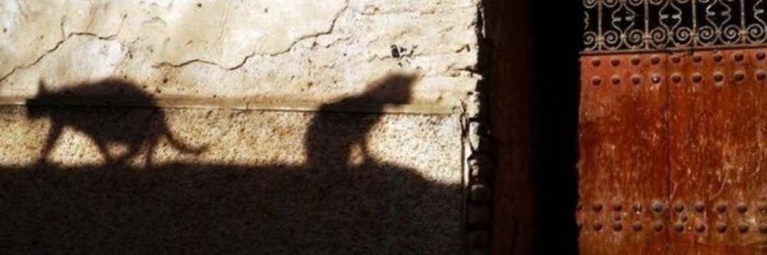 ghostofframp's profile banner image