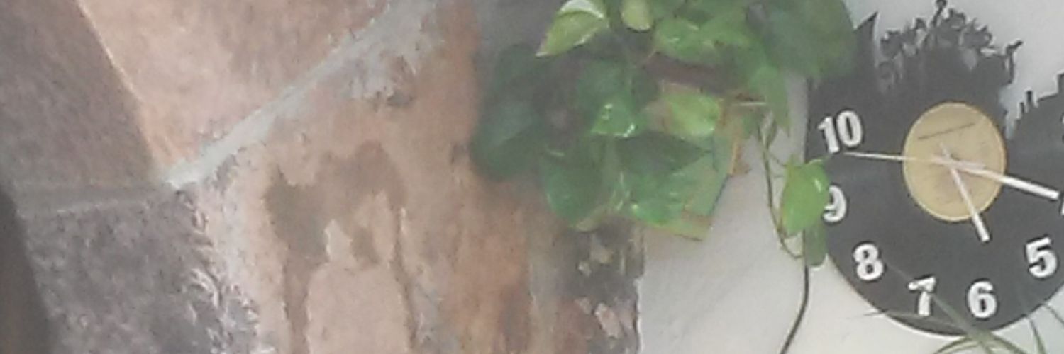 FMatxi's profile banner image