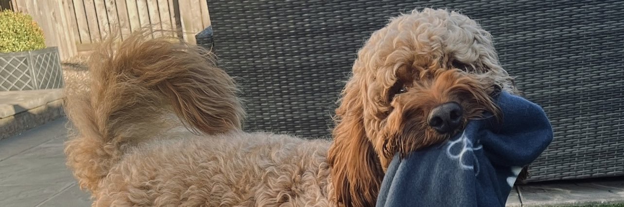 Kayleighsmiiith's profile banner image