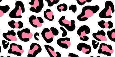Niarhnm's profile banner image