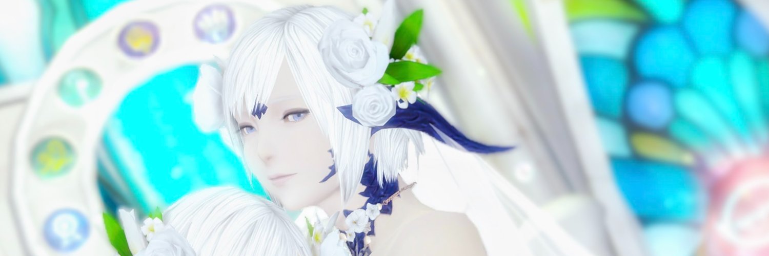 wonder banner