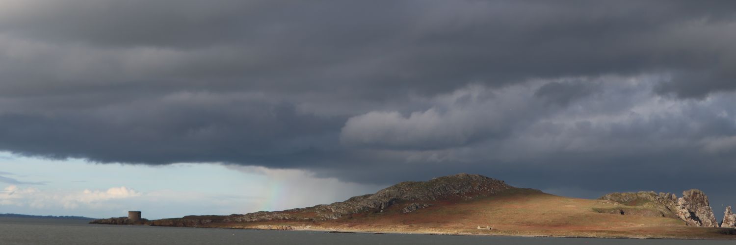 Md firdous alam banner