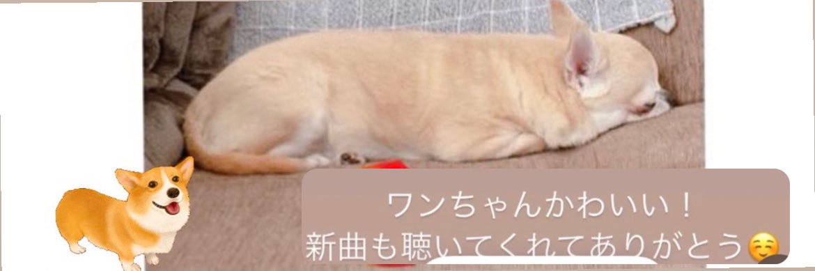 katomomozo's profile banner image