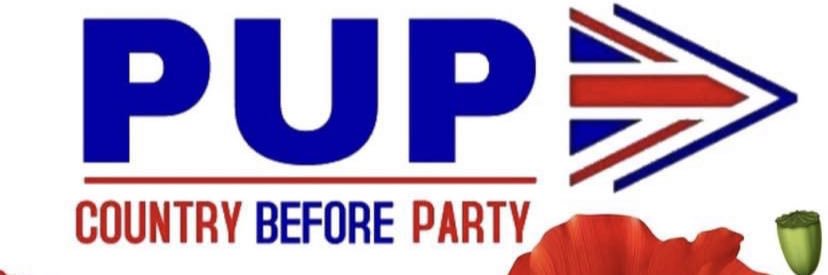 DownPUP's profile banner image