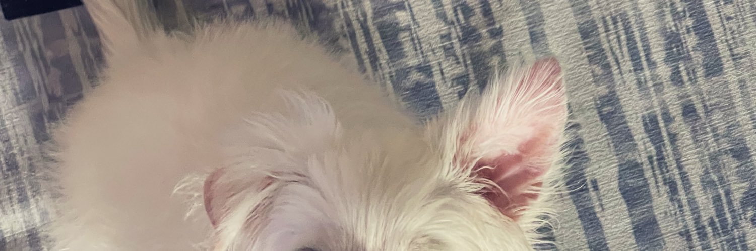 llPartizonell's profile banner image