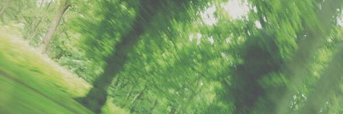 Louprdgdr's profile banner image