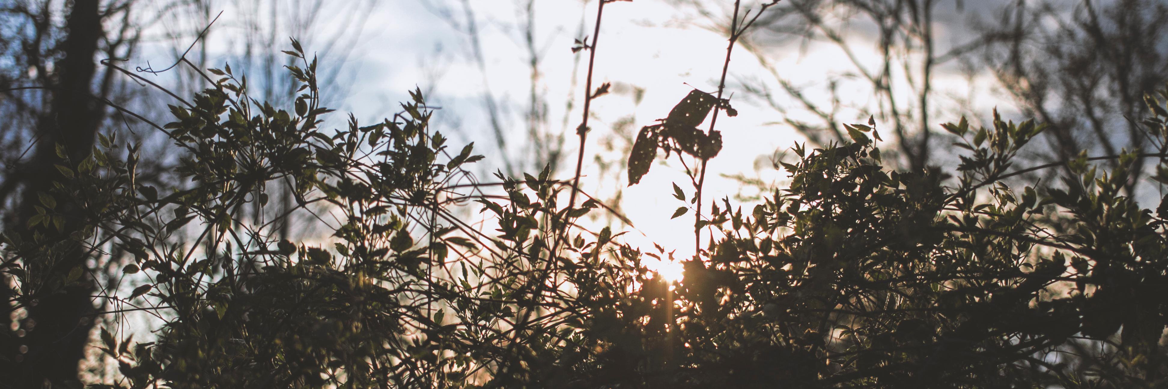 jamesfloower's profile banner image