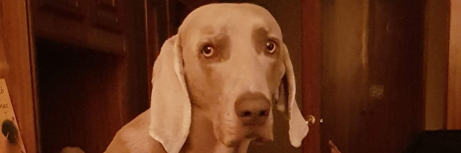 IMclure's profile banner image