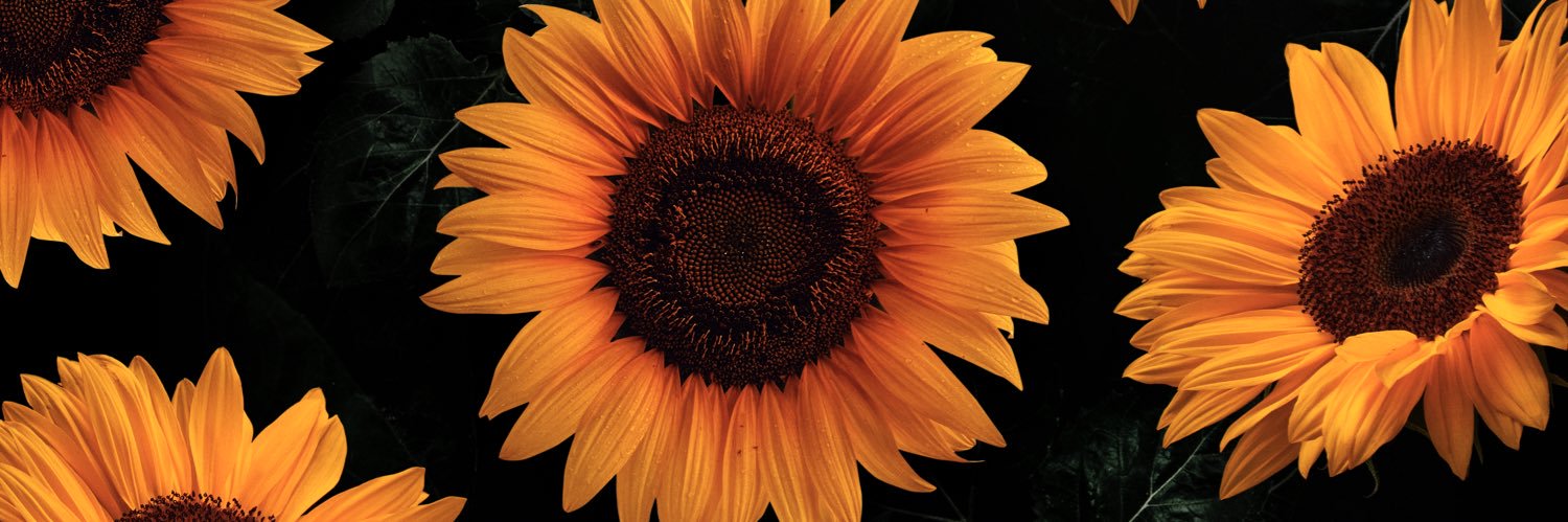 MarinaGilbert98's profile banner image