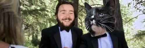 Scottlander101's profile banner image