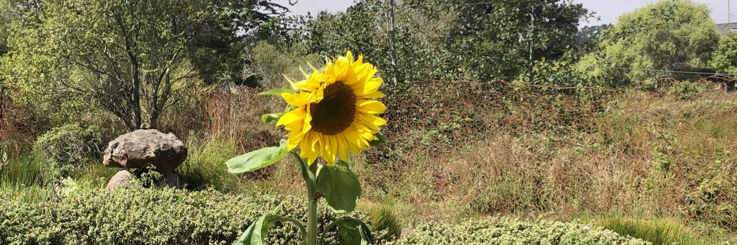 billbraasch's profile banner image