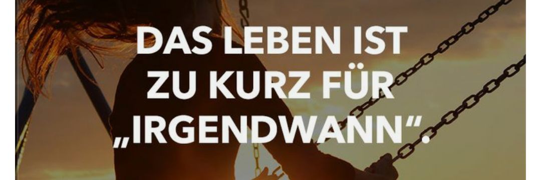 hausdrache31's profile banner image