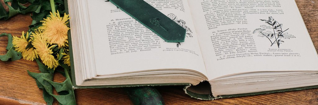 CathCouzens's profile banner image