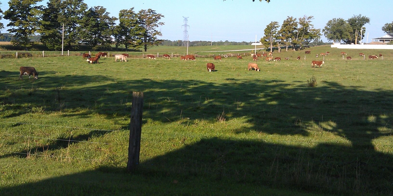 Ashley Hendry-Ritchie banner