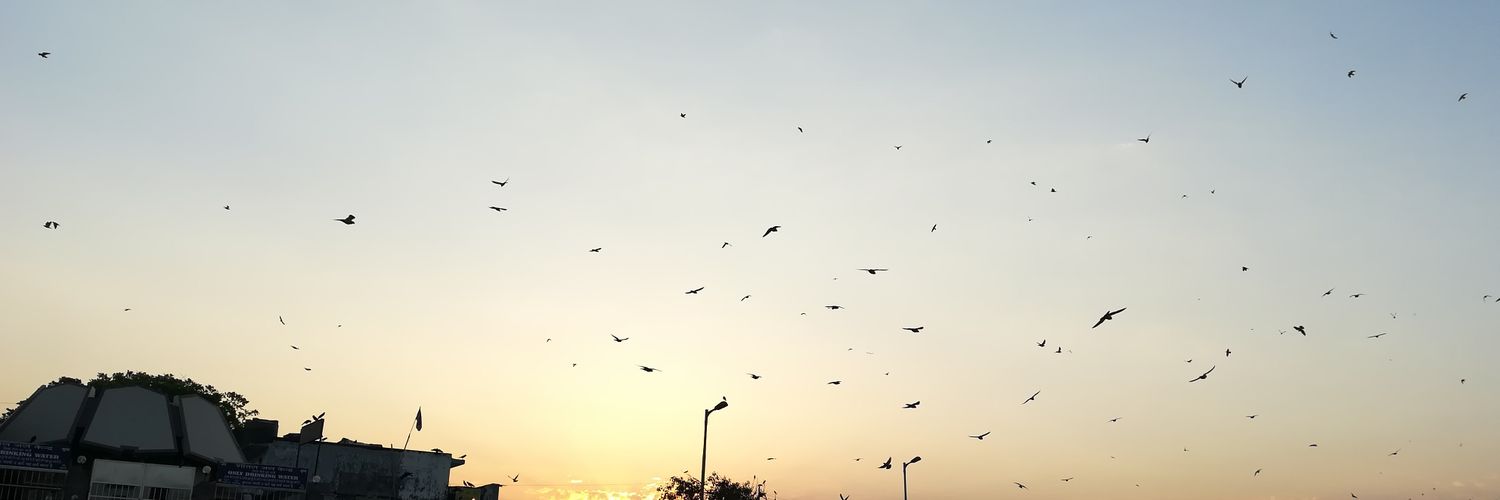 rohitb1023's profile banner image