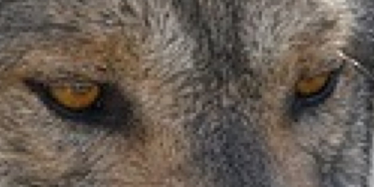 __x_eight's profile banner image