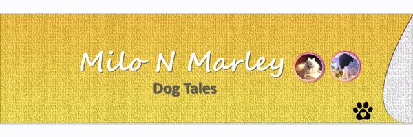 MiloNMarley Profile Banner