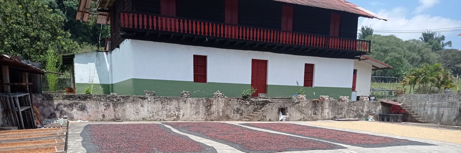 El_Apoderao's profile banner image