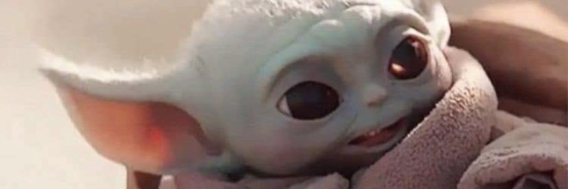 SteffieJr's profile banner image