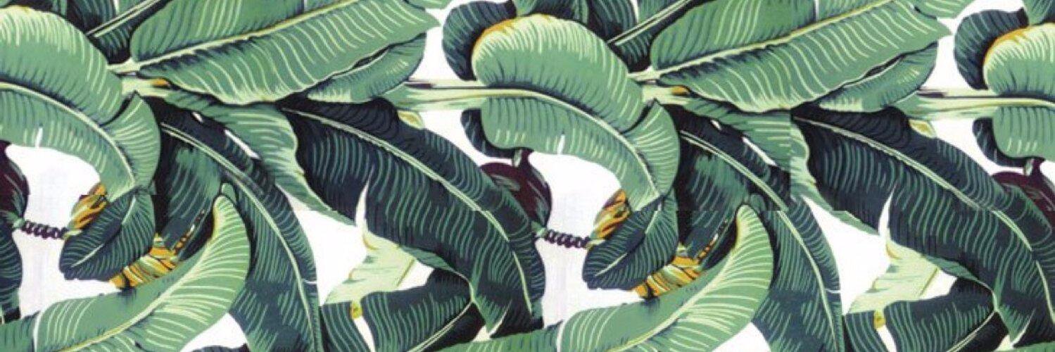 jullanyr's profile banner image