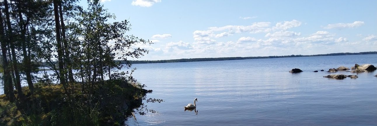 Tuomas Levoniemi banner