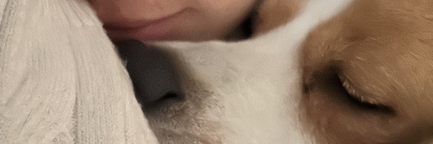 MuccioloAgus's profile banner image