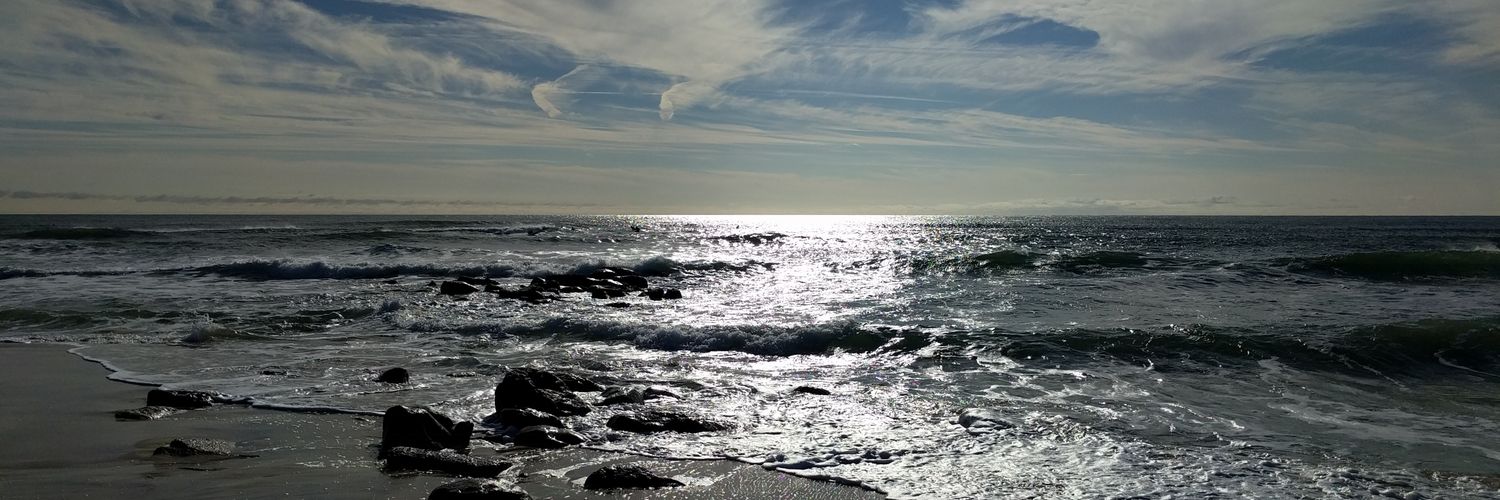 ariellevy's profile banner image