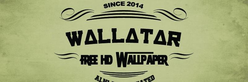 wallatar's profile banner image