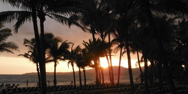 SarahNaylor_'s profile banner image