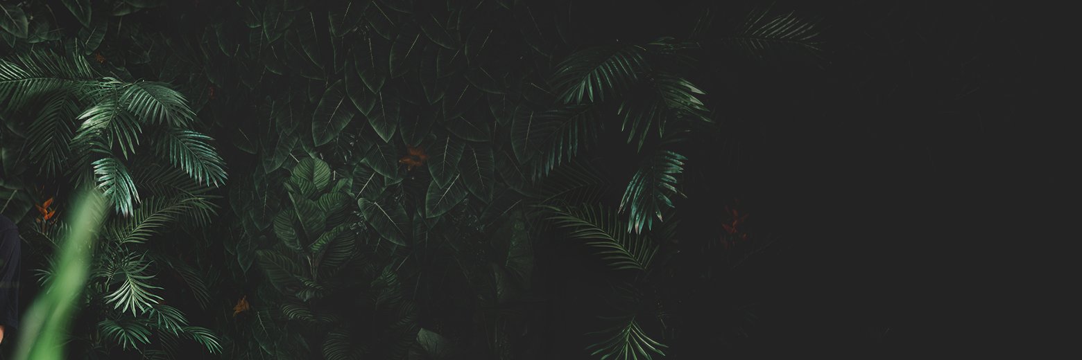 Habitaat's profile banner image