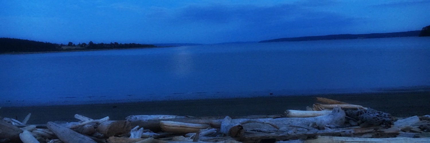 MoonQuill's profile banner image