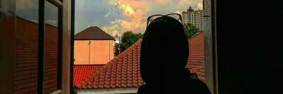 sanarayul's profile banner image