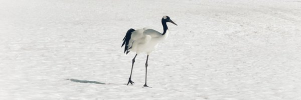 lakem564 Profile Banner