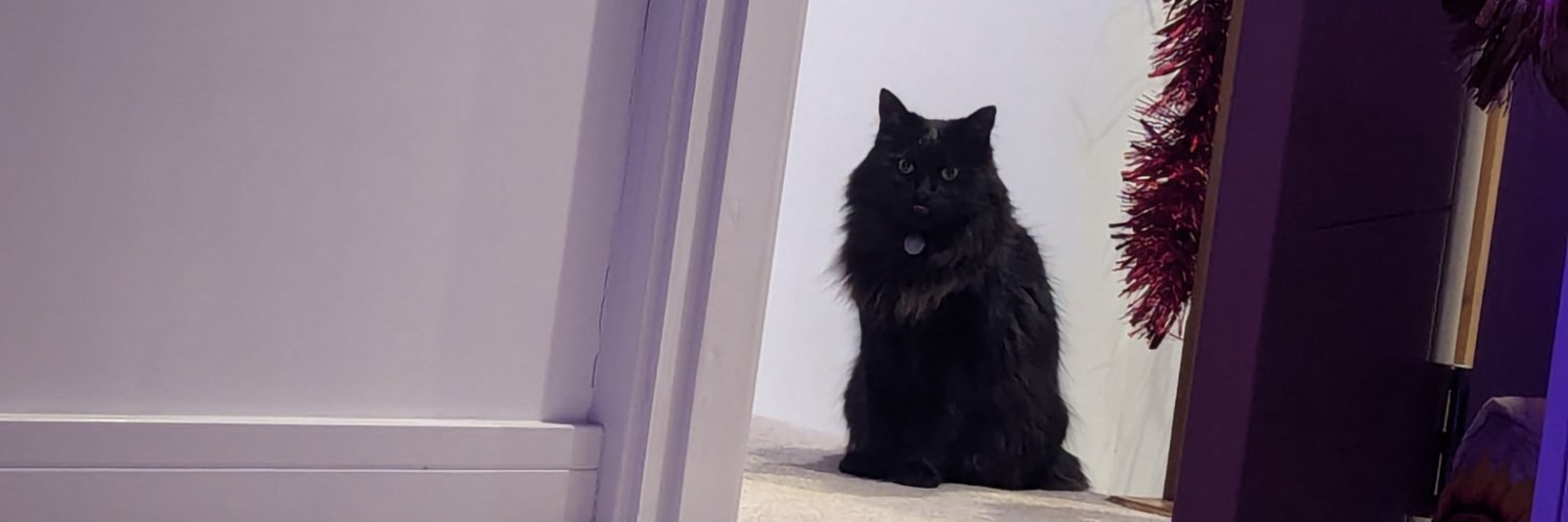 coledb's profile banner image